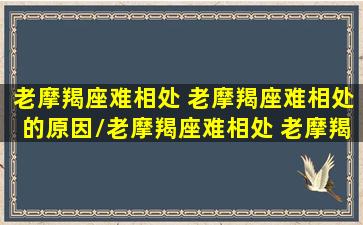 老摩羯座难相处 老摩羯座难相处的原因/老摩羯座难相处 老摩羯座难相处的原因-我的网站